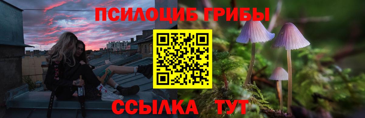 Псилоцибиновые грибы MAGIC MUSHROOMS  Вход с VPN  Губкинский 